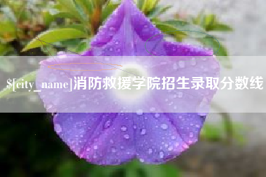 海丰消防救援学院招生录取分数线