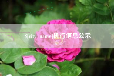 海丰执行信息公示