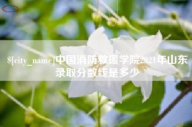 海丰中国消防救援学院2021年山东录取分数线是多少