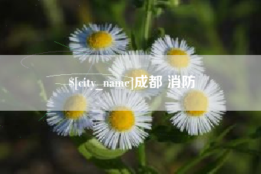 海丰成都 消防