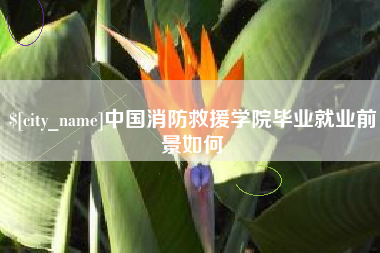 海丰中国消防救援学院毕业就业前景如何