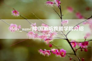 海丰中国消防救援学院介绍