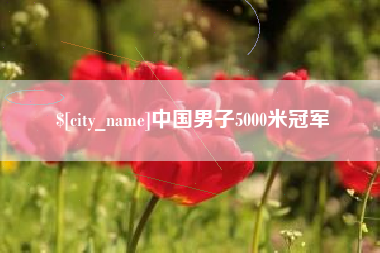 海丰中国男子5000米冠军