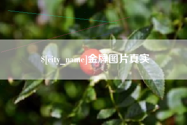 海丰金牌图片真实