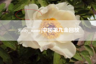 海丰中国第九金回放
