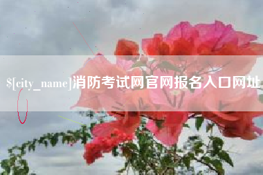 海丰消防考试网官网报名入口网址