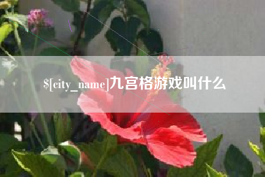海丰九宫格游戏叫什么