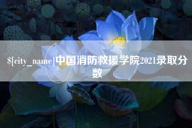 海丰中国消防救援学院2021录取分数