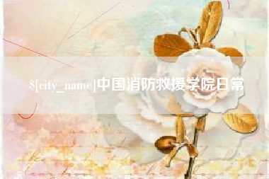 海丰中国消防救援学院日常