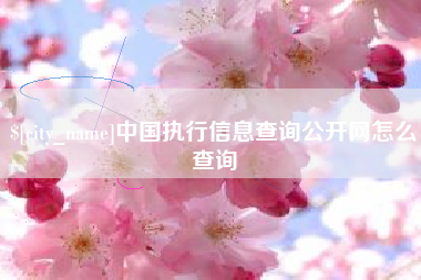 海丰中国执行信息查询公开网怎么查询