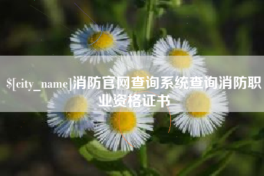 海丰消防官网查询系统查询消防职业资格证书