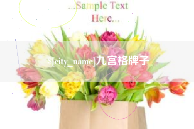 海丰九宫格牌子