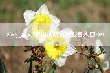 海丰中国消防官网报名入口2024