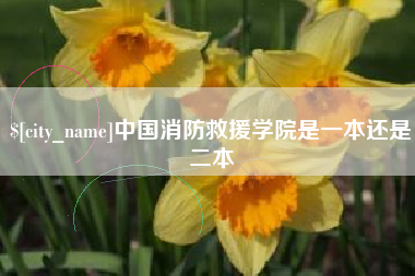 海丰中国消防救援学院是一本还是二本