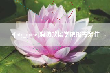 海丰消防救援学院报考条件