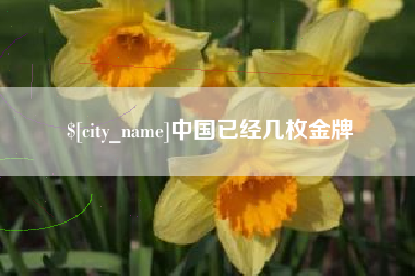 海丰中国已经几枚金牌