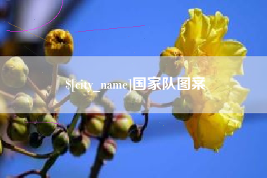 海丰国家队图案
