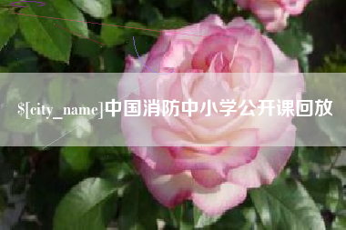 海丰中国消防中小学公开课回放