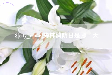 海丰森林消防日是哪一天
