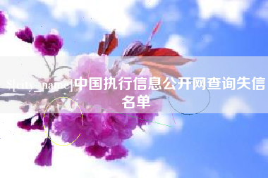 海丰中国执行信息公开网查询失信名单