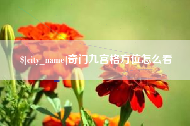 海丰奇门九宫格方位怎么看