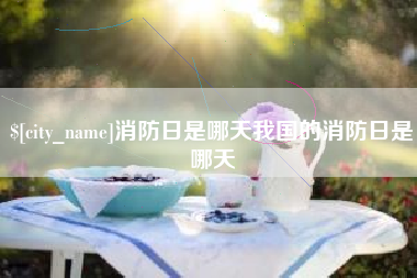 海丰消防日是哪天我国的消防日是哪天