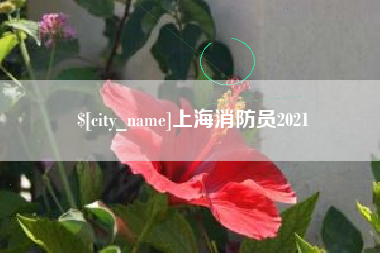 海丰上海消防员2021