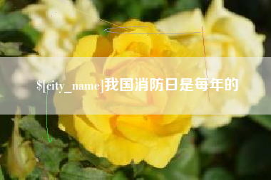 海丰我国消防日是每年的
