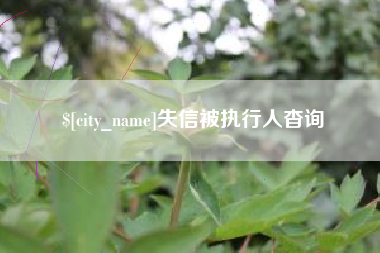 海丰失信被执行人杳询