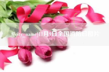 海丰11月9日全国消防日图片