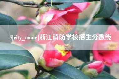 海丰浙江消防学校招生分数线