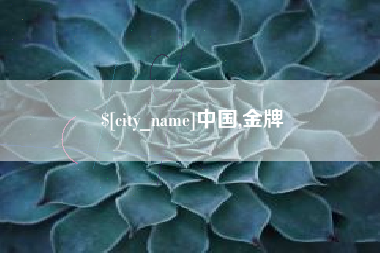 海丰中国,金牌