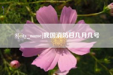 海丰我国消防日几月几号