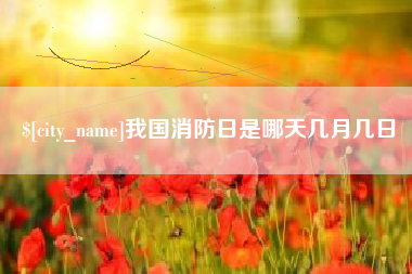 海丰我国消防日是哪天几月几日