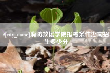 海丰消防救援学院报考条件湖南招生多少分