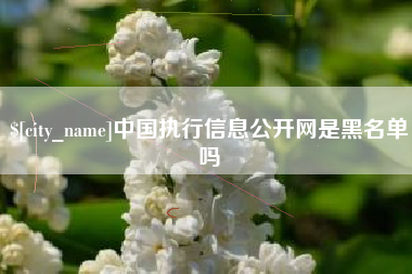 海丰中国执行信息公开网是黑名单吗
