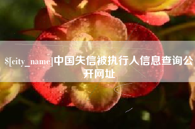 海丰中国失信被执行人信息查询公开网址