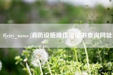 海丰消防设施操作员证书查询网址