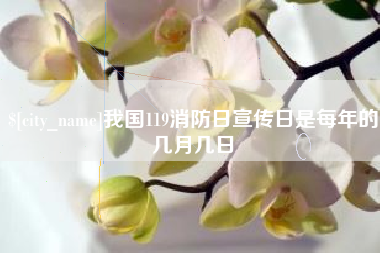 海丰我国119消防日宣传日是每年的几月几日