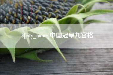 海丰中国冠军九宫格