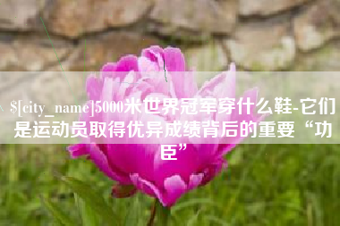 海丰5000米世界冠军穿什么鞋-它们是运动员取得优异成绩背后的重要“功臣”