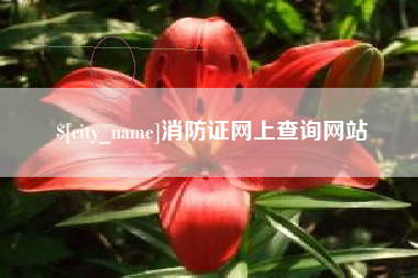 海丰消防证网上查询网站