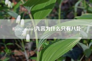 海丰九宫为什么只有八卦