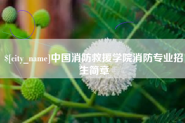海丰中国消防救援学院消防专业招生简章