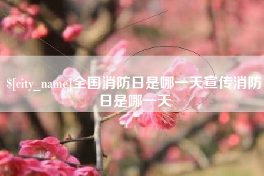 海丰全国消防日是哪一天宣传消防日是哪一天