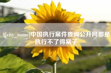海丰中国执行案件查询公开网都是执行不了得案子
