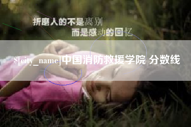 海丰中国消防救援学院 分数线