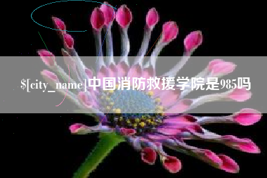 海丰中国消防救援学院是985吗