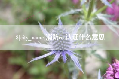 海丰消防ccc认证什么意思