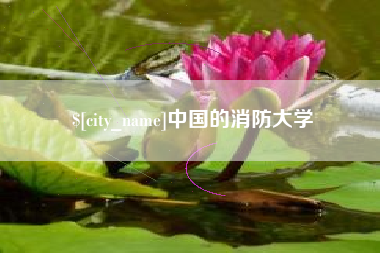 海丰中国的消防大学